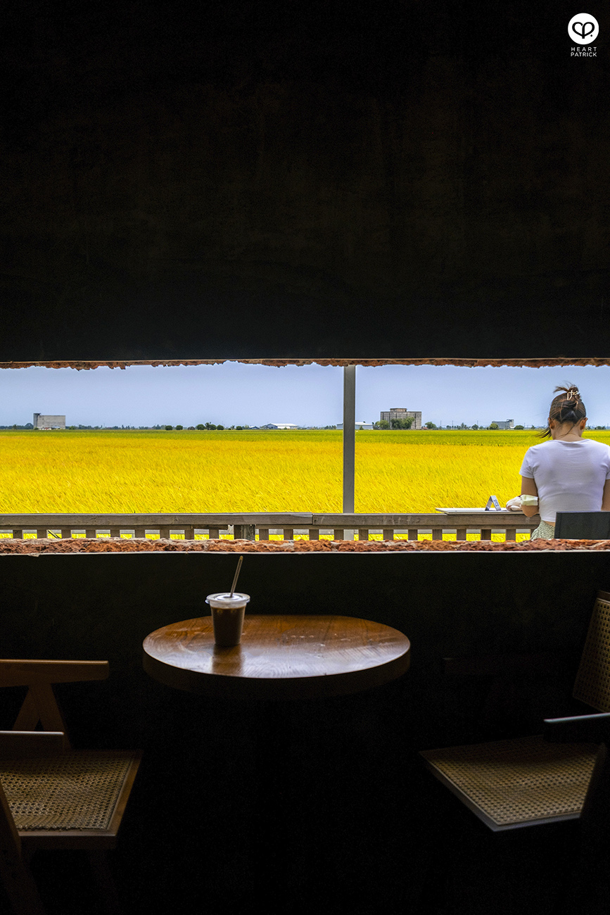 heartpatrick malaysia heritage sekinchan golden paddy fields selangor