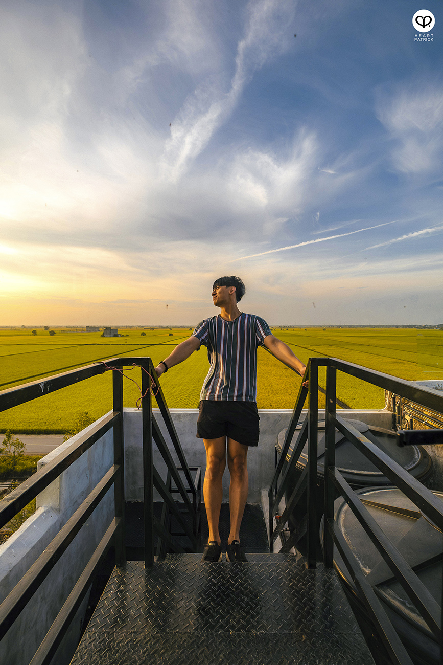heartpatrick malaysia heritage sekinchan golden paddy fields selangor