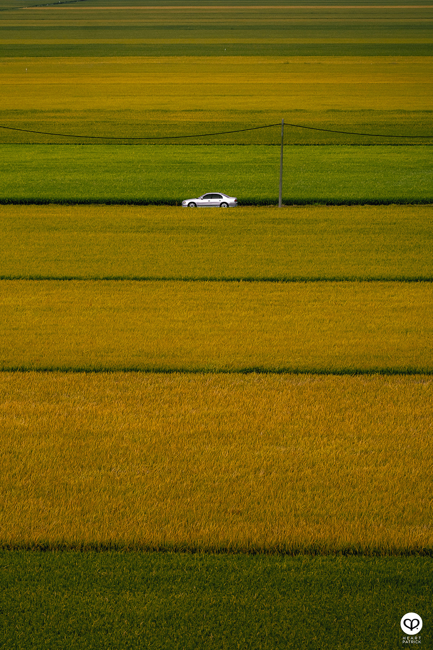 heartpatrick malaysia heritage sekinchan golden paddy fields selangor