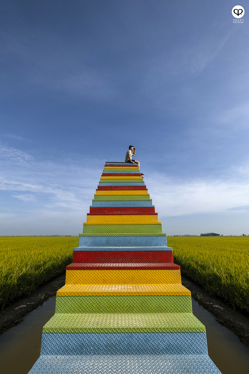 heartpatrick malaysia heritage sekinchan golden paddy fields selangor