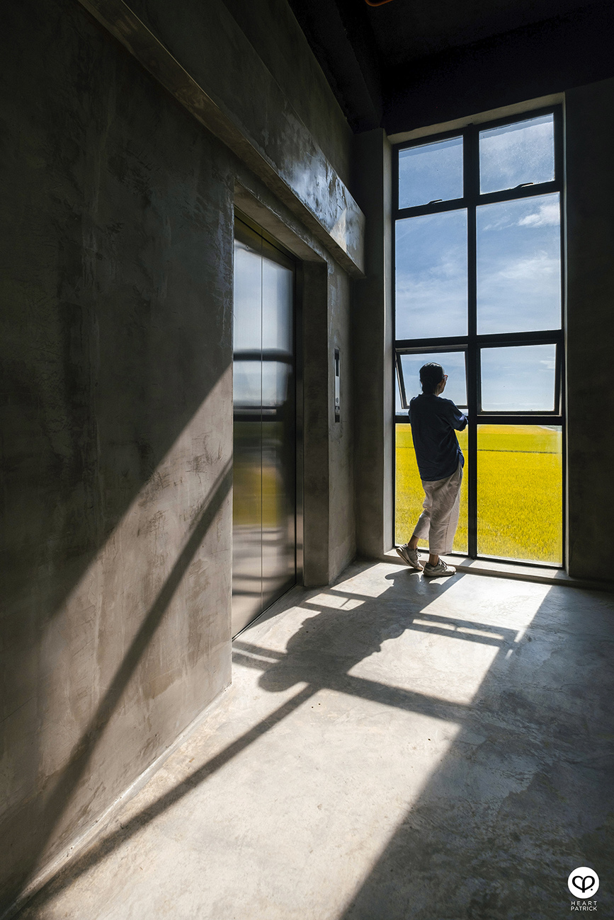 heartpatrick malaysia heritage sekinchan golden paddy fields selangor