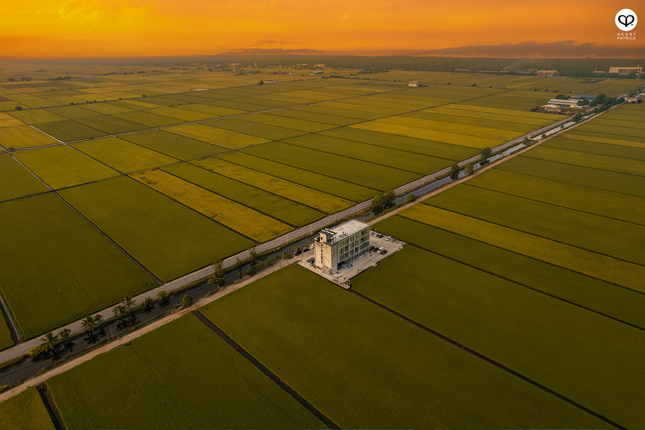 heartpatrick malaysia heritage sekinchan golden paddy fields selangor