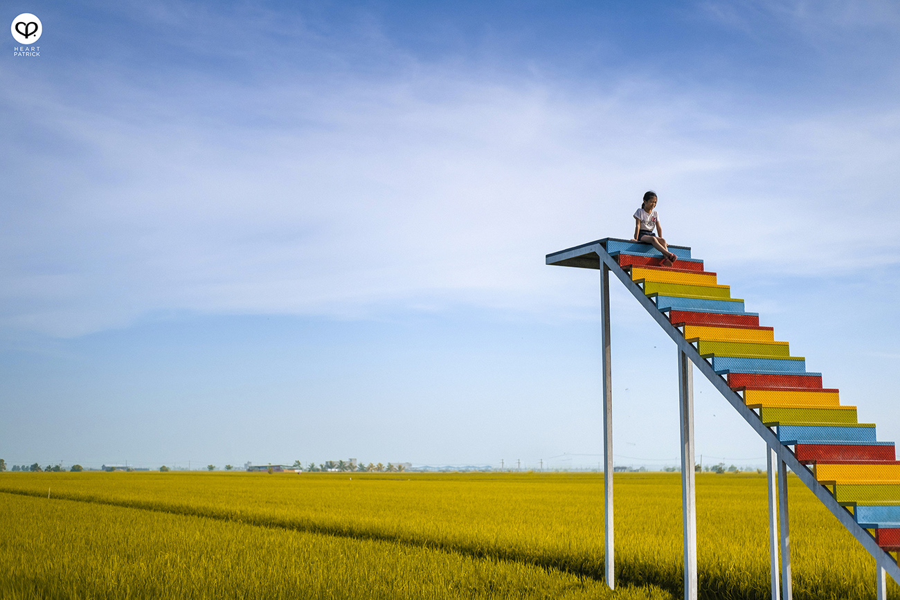 heartpatrick malaysia heritage sekinchan golden paddy fields selangor