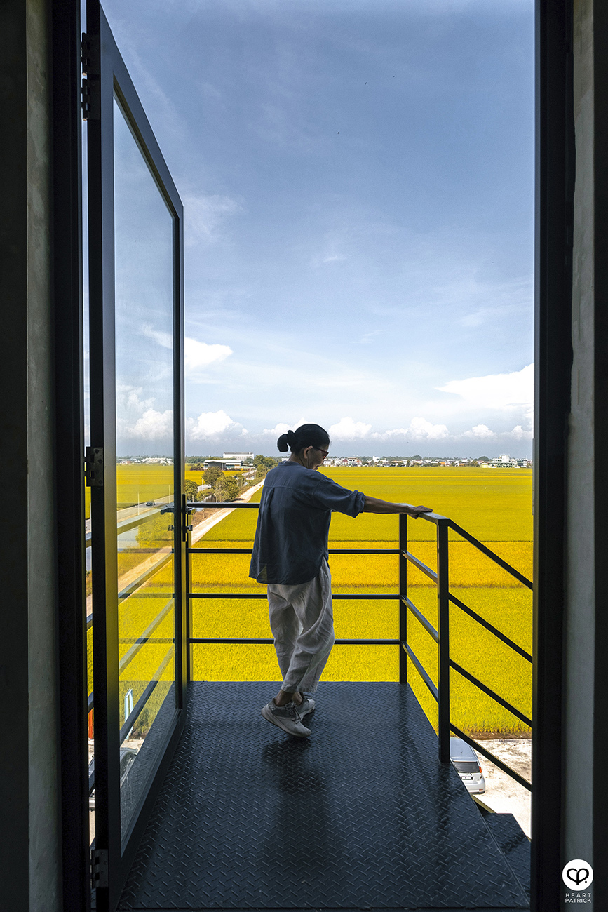 heartpatrick malaysia heritage sekinchan golden paddy fields selangor