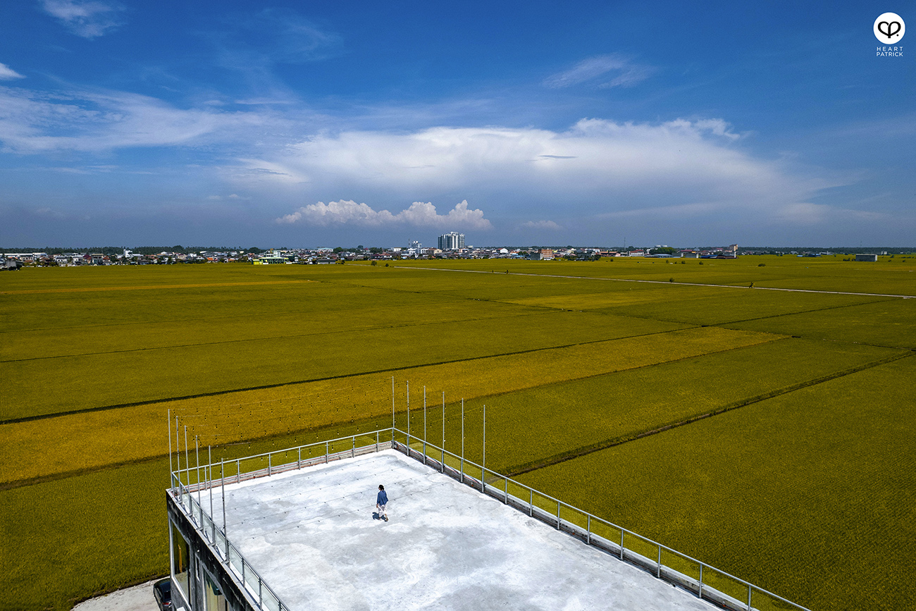 heartpatrick malaysia heritage sekinchan golden paddy fields selangor