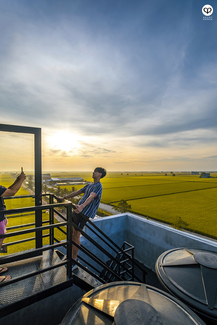 heartpatrick malaysia heritage sekinchan golden paddy fields selangor