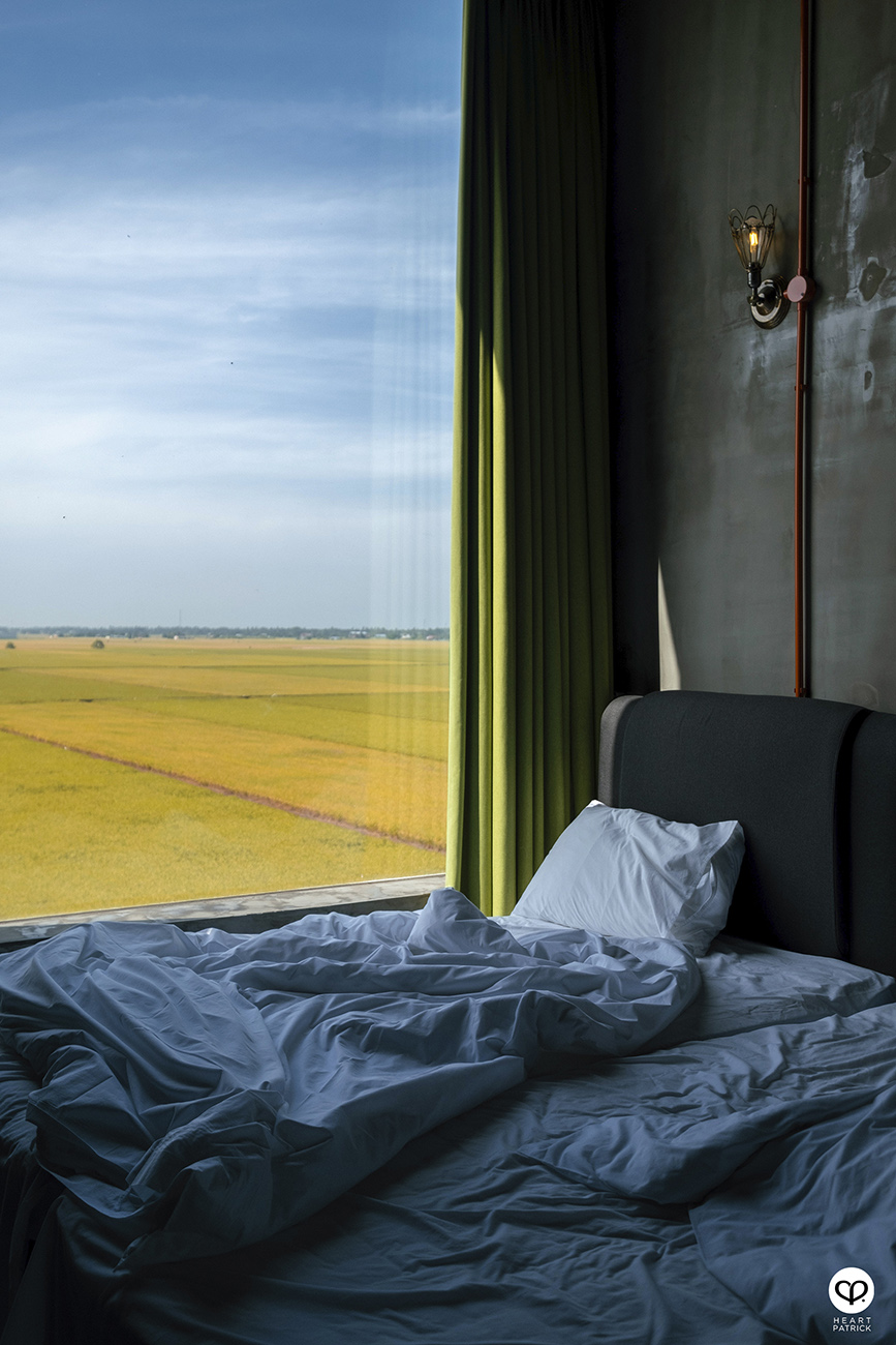 heartpatrick malaysia heritage sekinchan golden paddy fields selangor