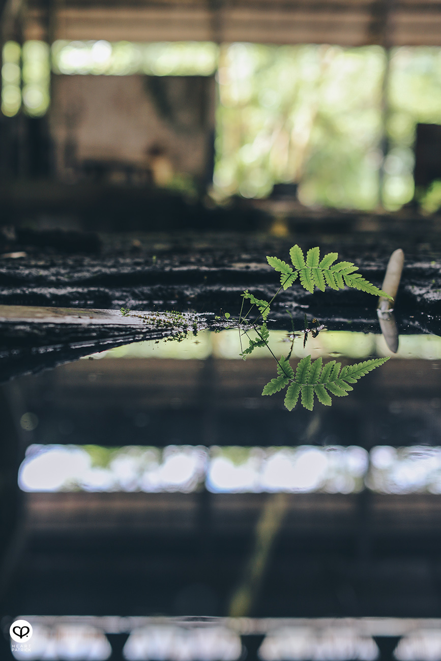 heartpatrick architecture photography KTM Sentul Depot Sentul Park YTL Land