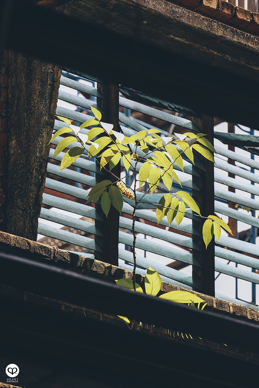 heartpatrick architecture photography KTM Sentul Depot Sentul Park YTL Land