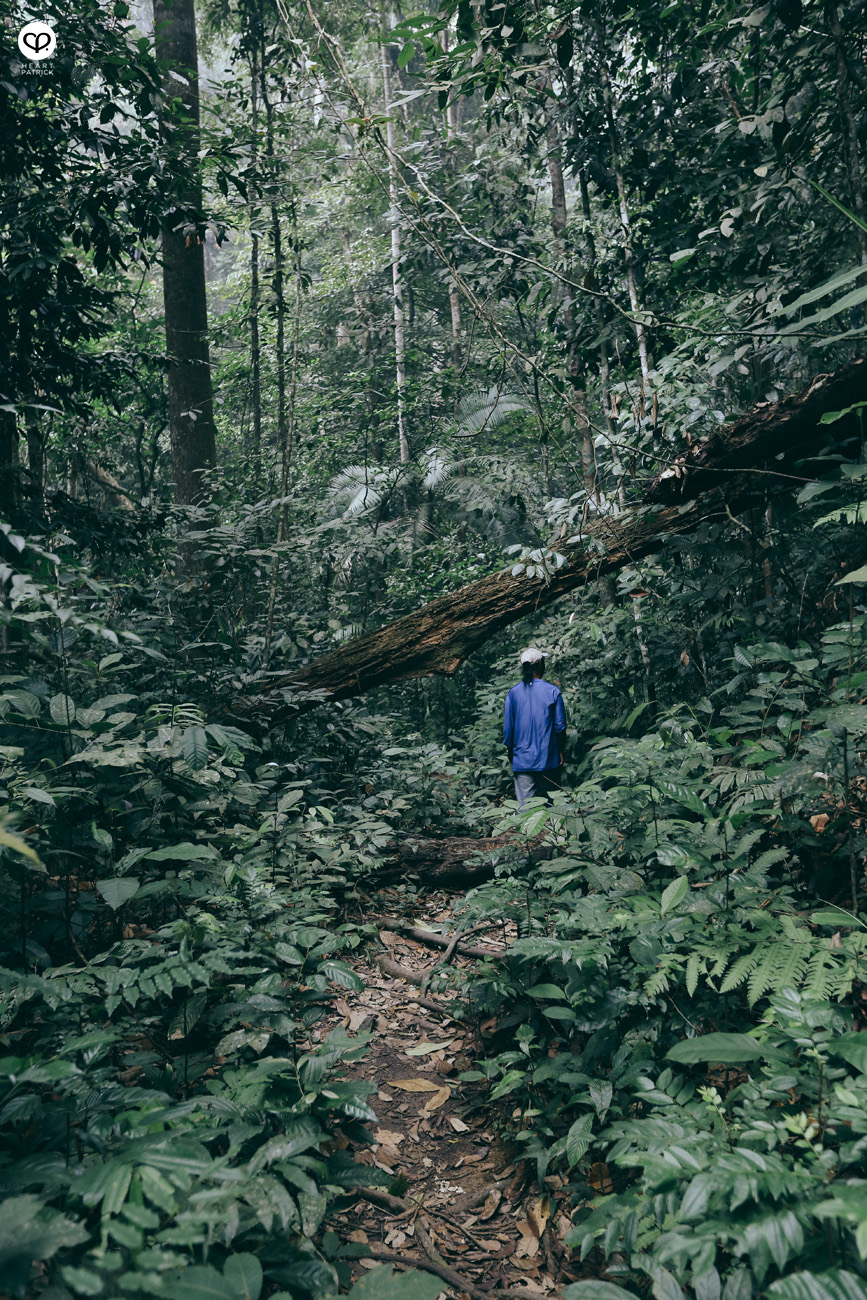 seremban weekend getaway cabinz ecottage