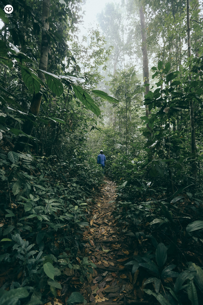 seremban weekend getaway cabinz ecottage