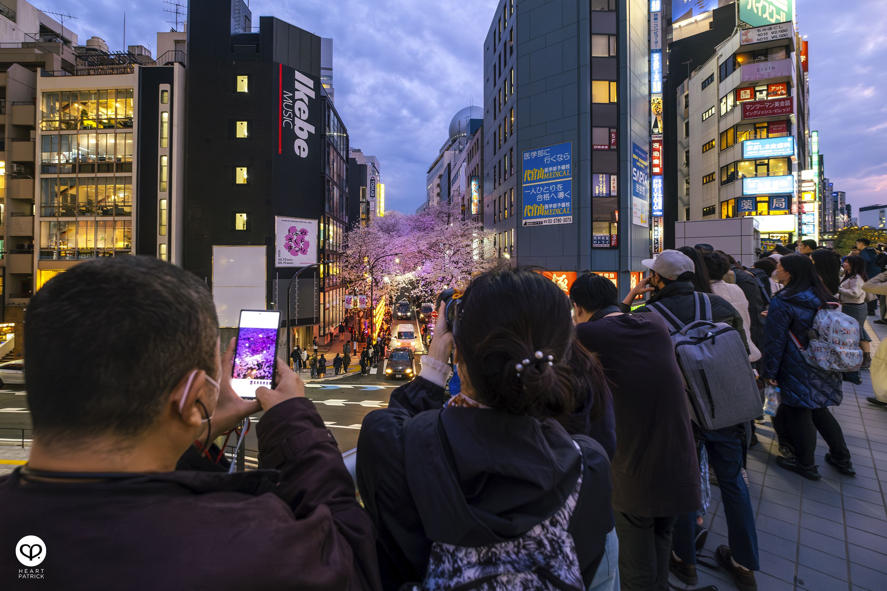 heartpatrick travel sakura hanami spring shibuya tokyo japan street photography
