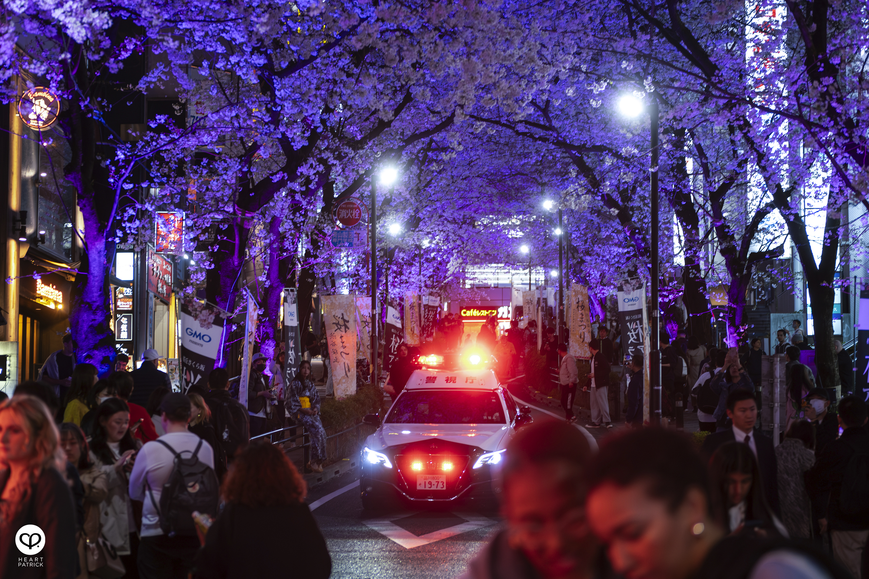 heartpatrick travel sakura hanami spring shibuya tokyo japan street photography