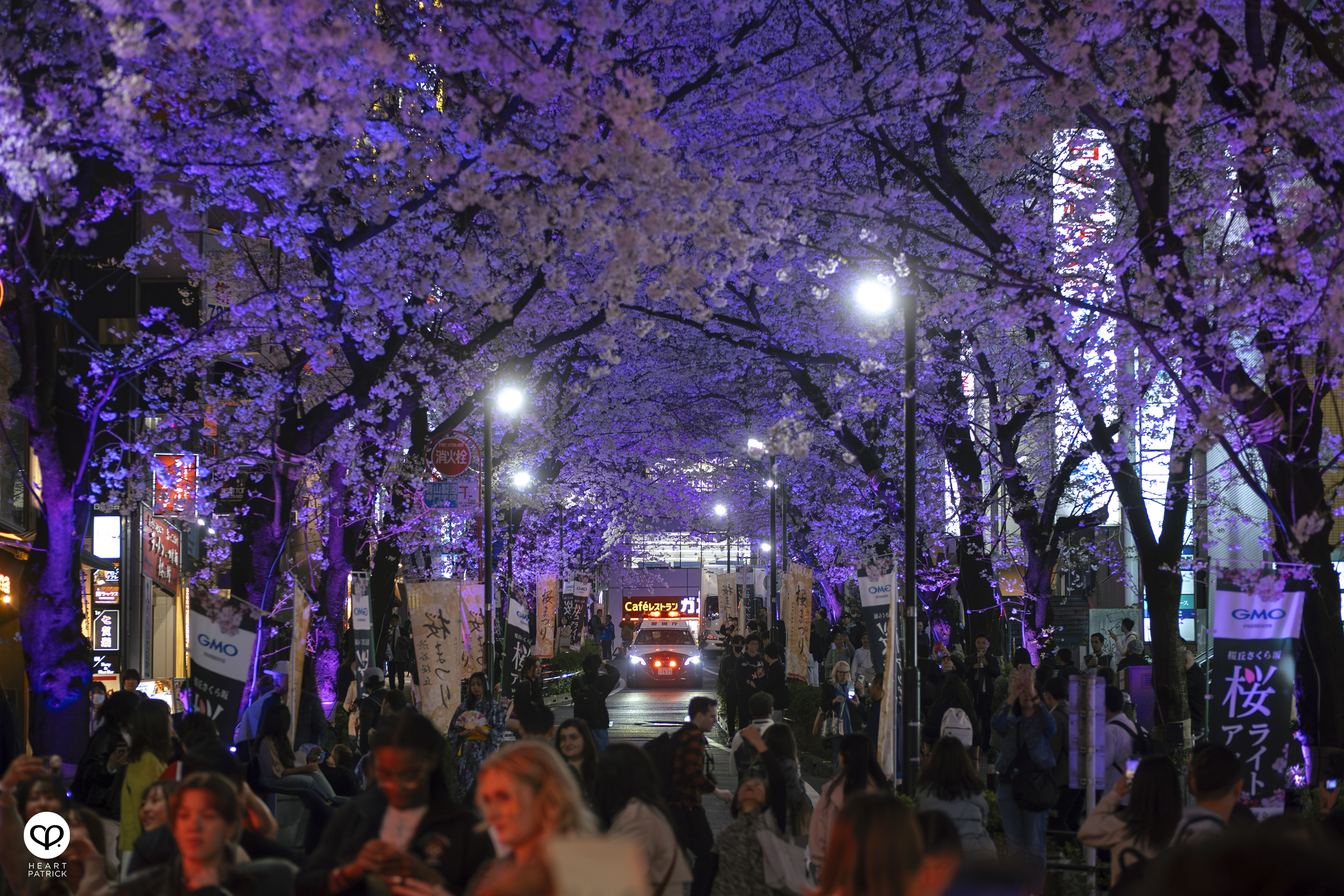 heartpatrick travel sakura hanami spring shibuya tokyo japan street photography