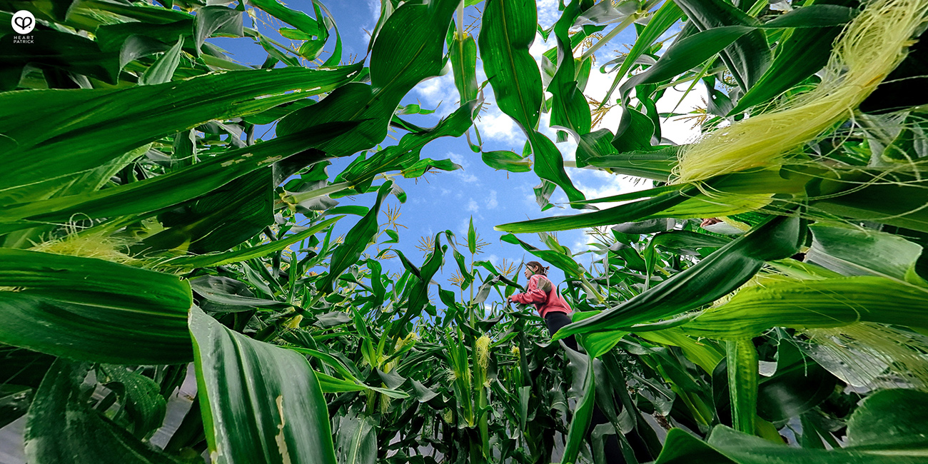 heartpatrick architecture interior photography hotel caravan camping stellar goldenhill cameron highlands