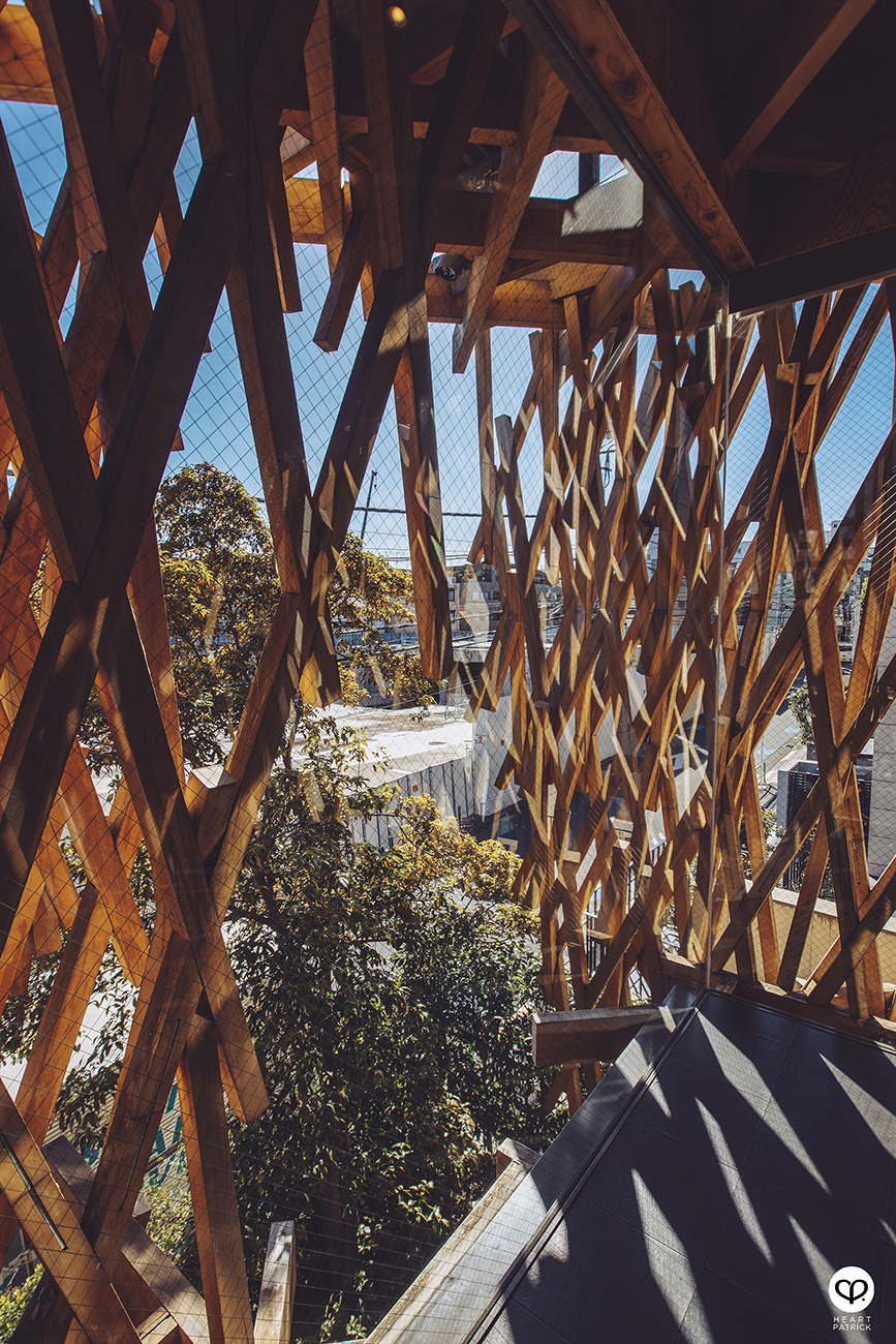 heartpatrick spaces architecture interior photography sunnyhills minami aoyama store tokyo kengo kuma
