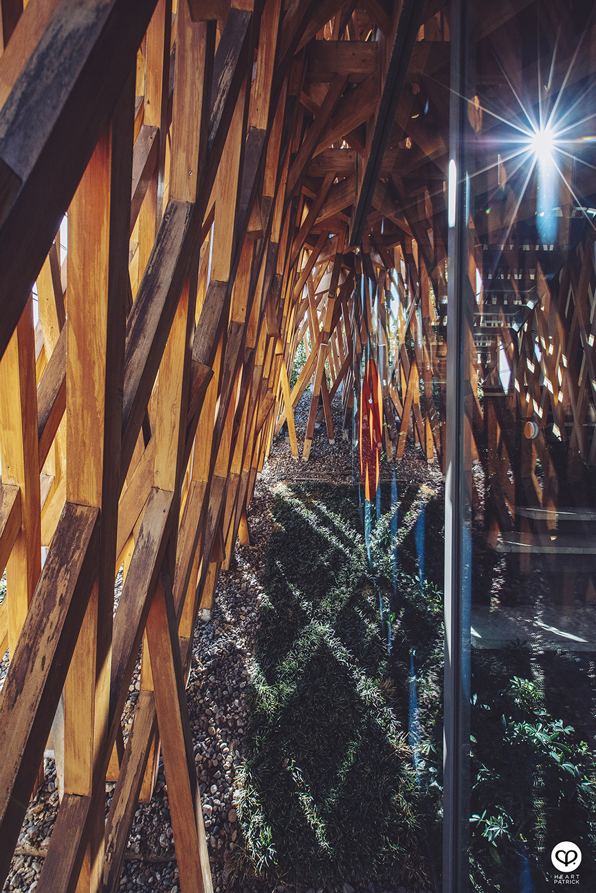 heartpatrick spaces architecture interior photography sunnyhills minami aoyama store tokyo kengo kuma