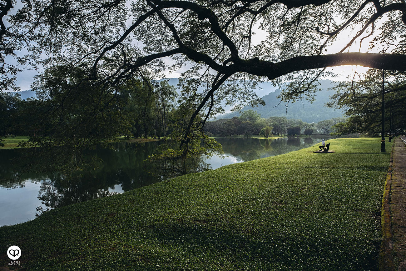 heartpatrick urban exploring taiping lake gardens perak malaysia