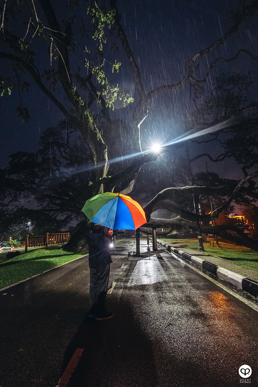 heartpatrick urban exploring taiping lake gardens perak malaysia