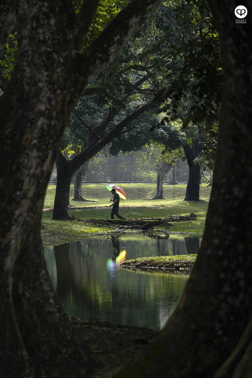 heartpatrick urban exploring taiping lake gardens perak malaysia