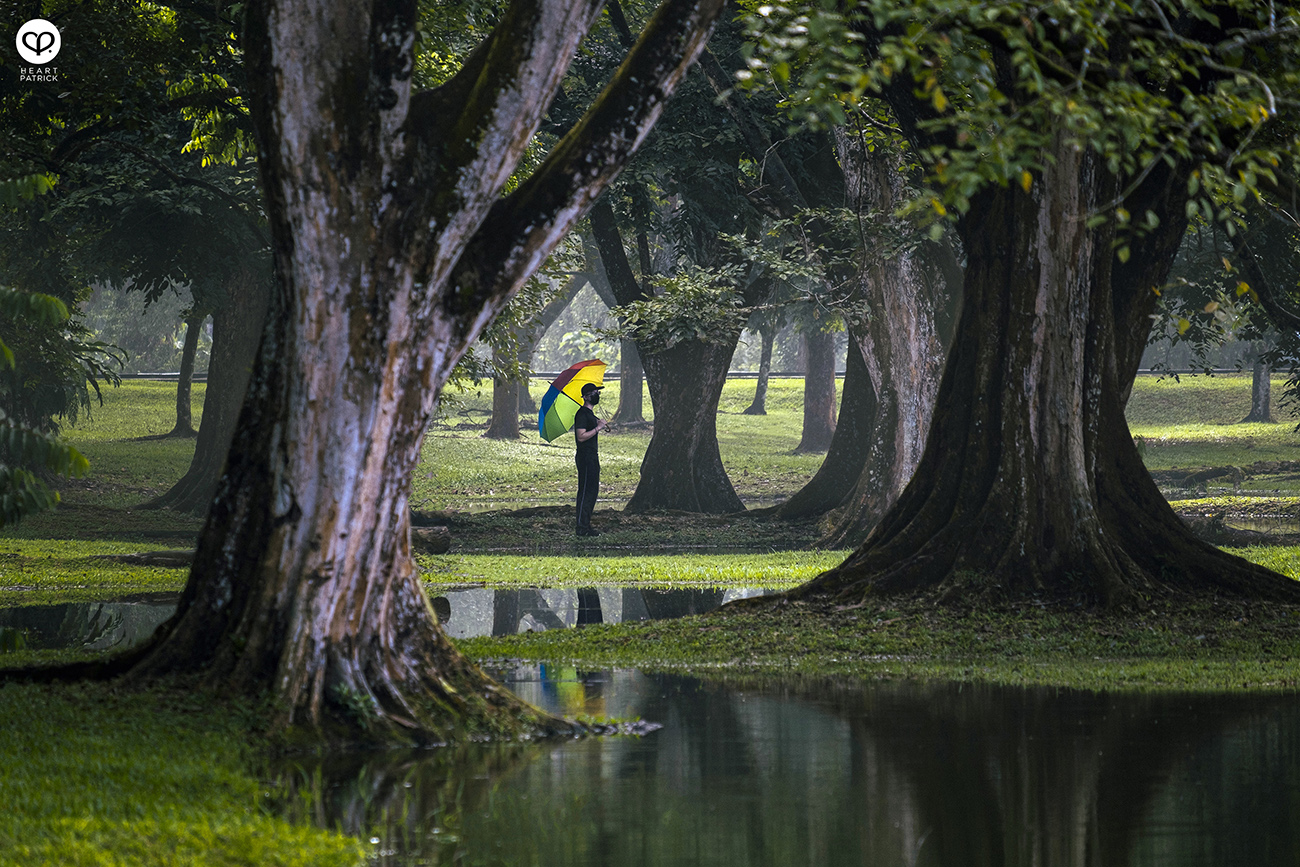 heartpatrick urban exploring taiping lake gardens perak malaysia