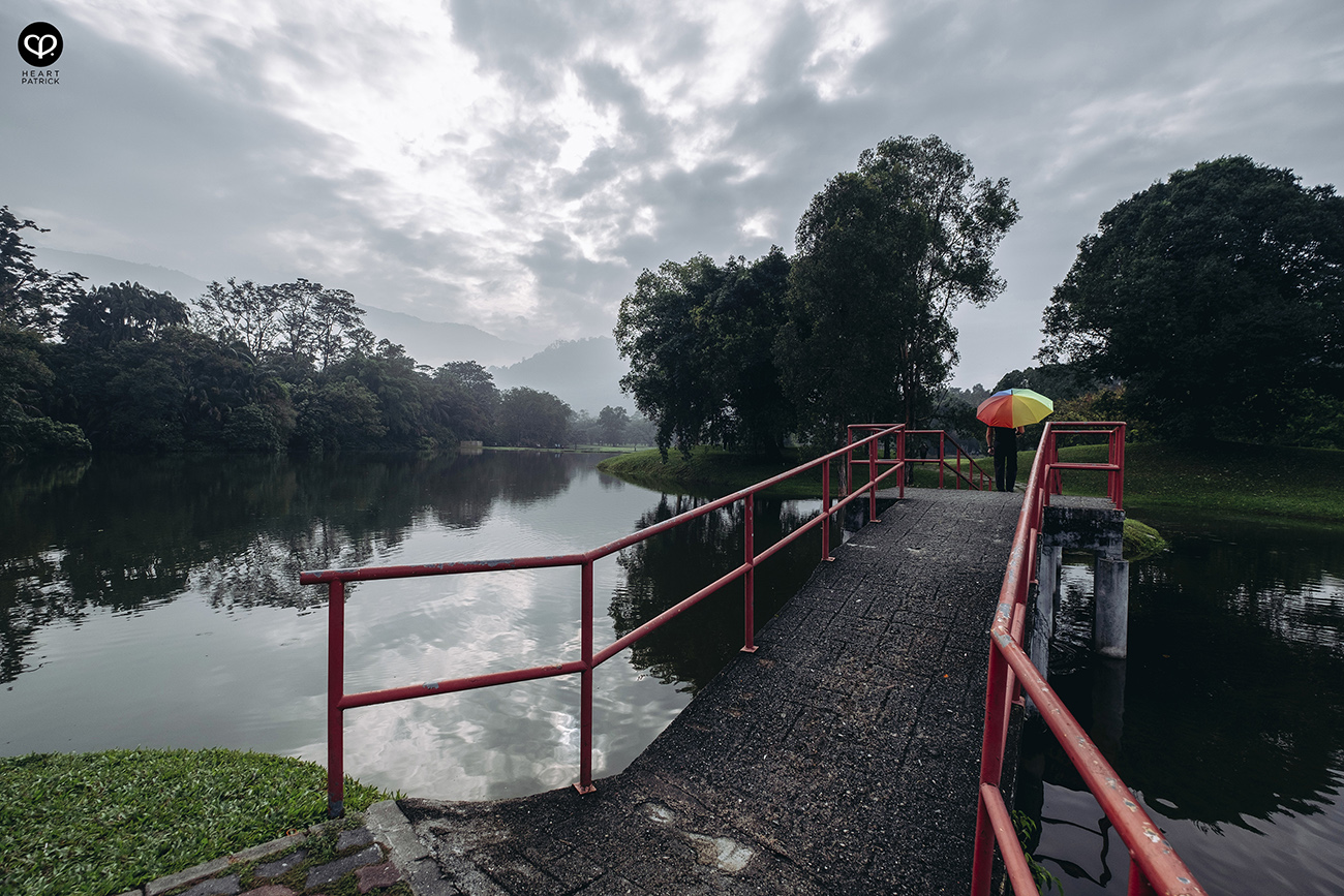 heartpatrick urban exploring taiping lake gardens perak malaysia