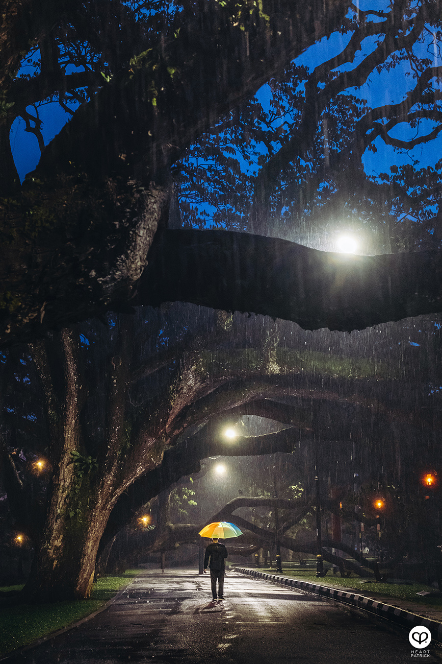 heartpatrick urban exploring taiping lake gardens perak malaysia