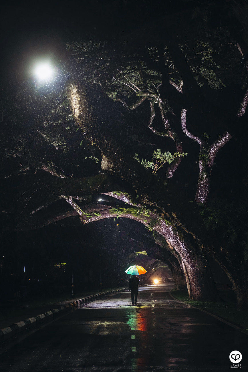heartpatrick urban exploring taiping lake gardens perak malaysia