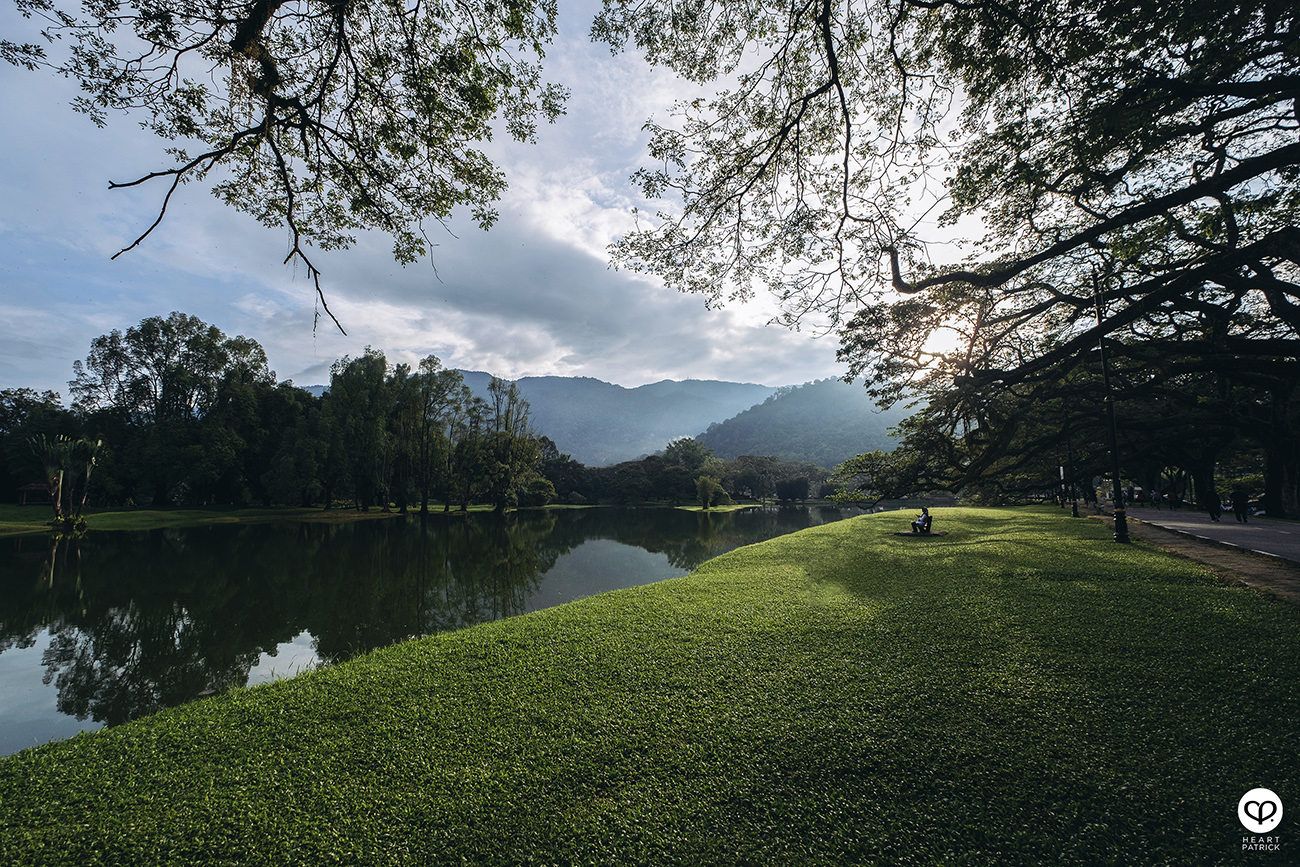 heartpatrick urban exploring taiping lake gardens perak malaysia