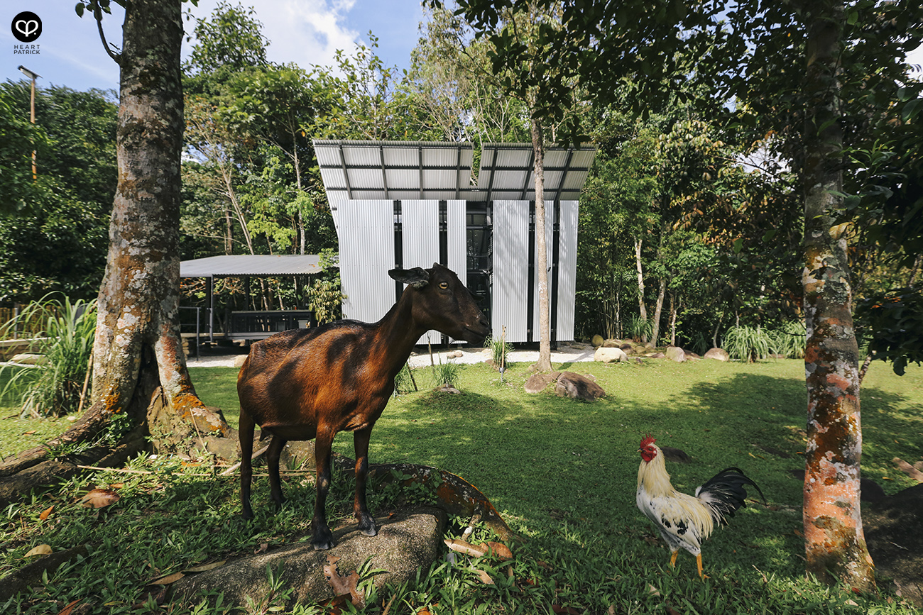 heartpatrick tanah larwina retreat at hulu langat selangor