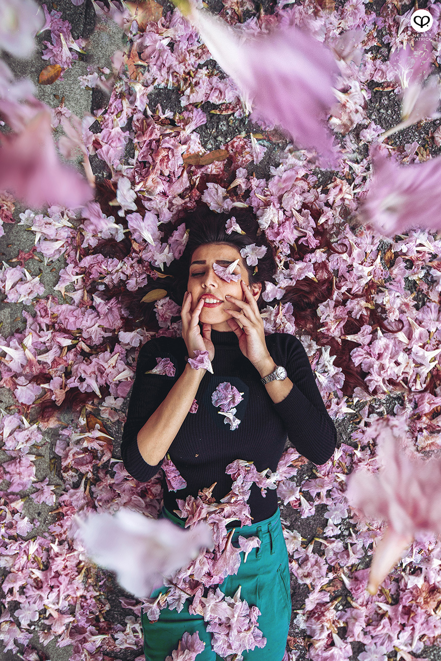 heartpatrick urban exploring tecoma malaysian sakura full bloom kuala lumpur