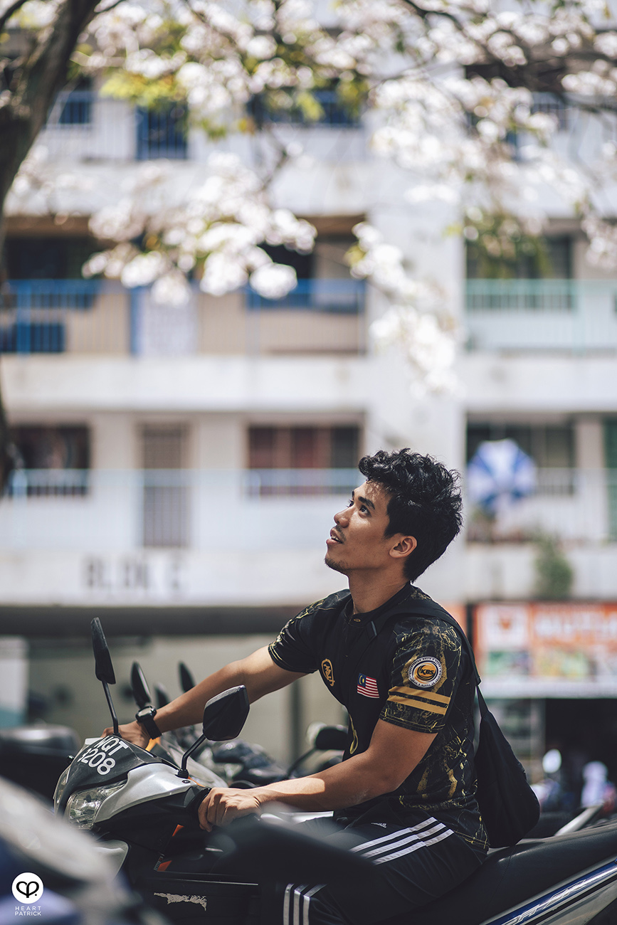heartpatrick urban exploring tecoma malaysian sakura full bloom kuala lumpur