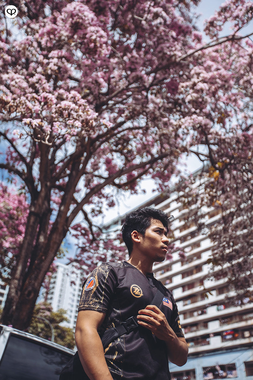 heartpatrick urban exploring tecoma malaysian sakura full bloom kuala lumpur