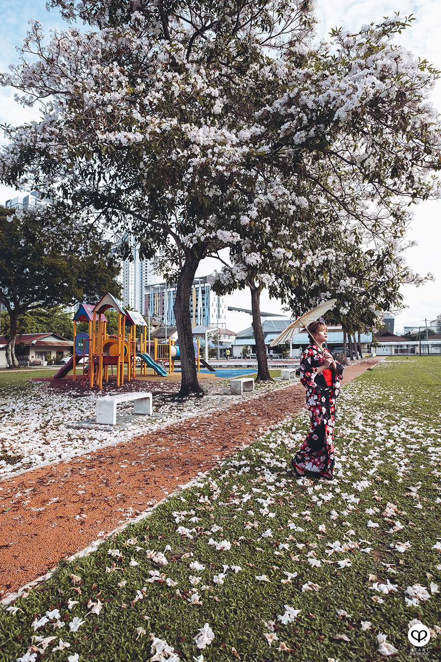 heartpatrick urban exploring portraits tecoma sakura spring malaysia kuala lumpur