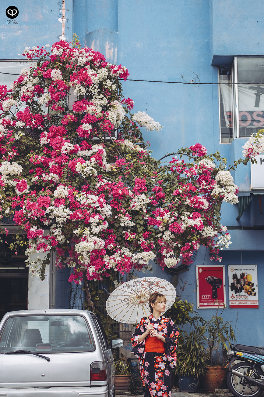 heartpatrick urban exploring portraits tecoma sakura spring malaysia kuala lumpur