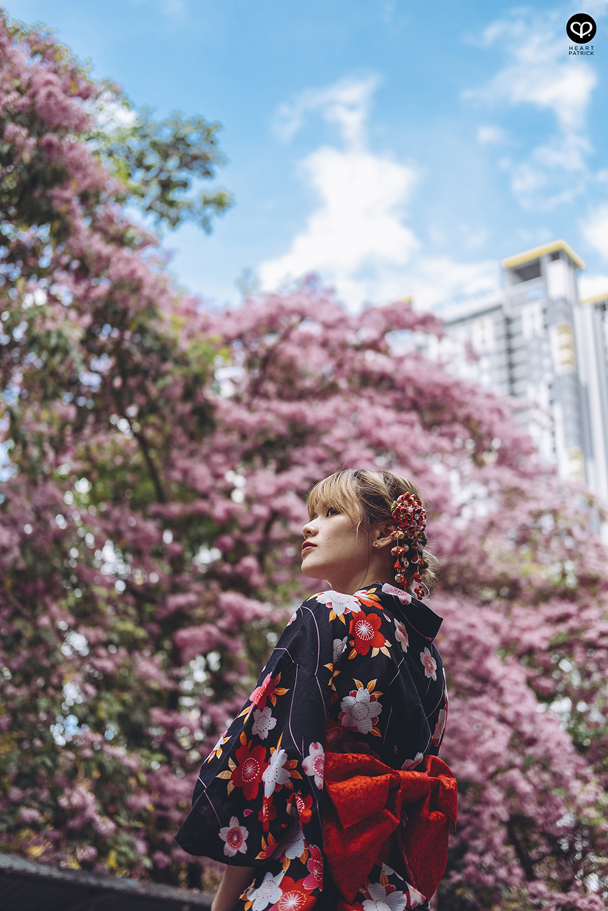 heartpatrick urban exploring portraits tecoma sakura spring malaysia kuala lumpur