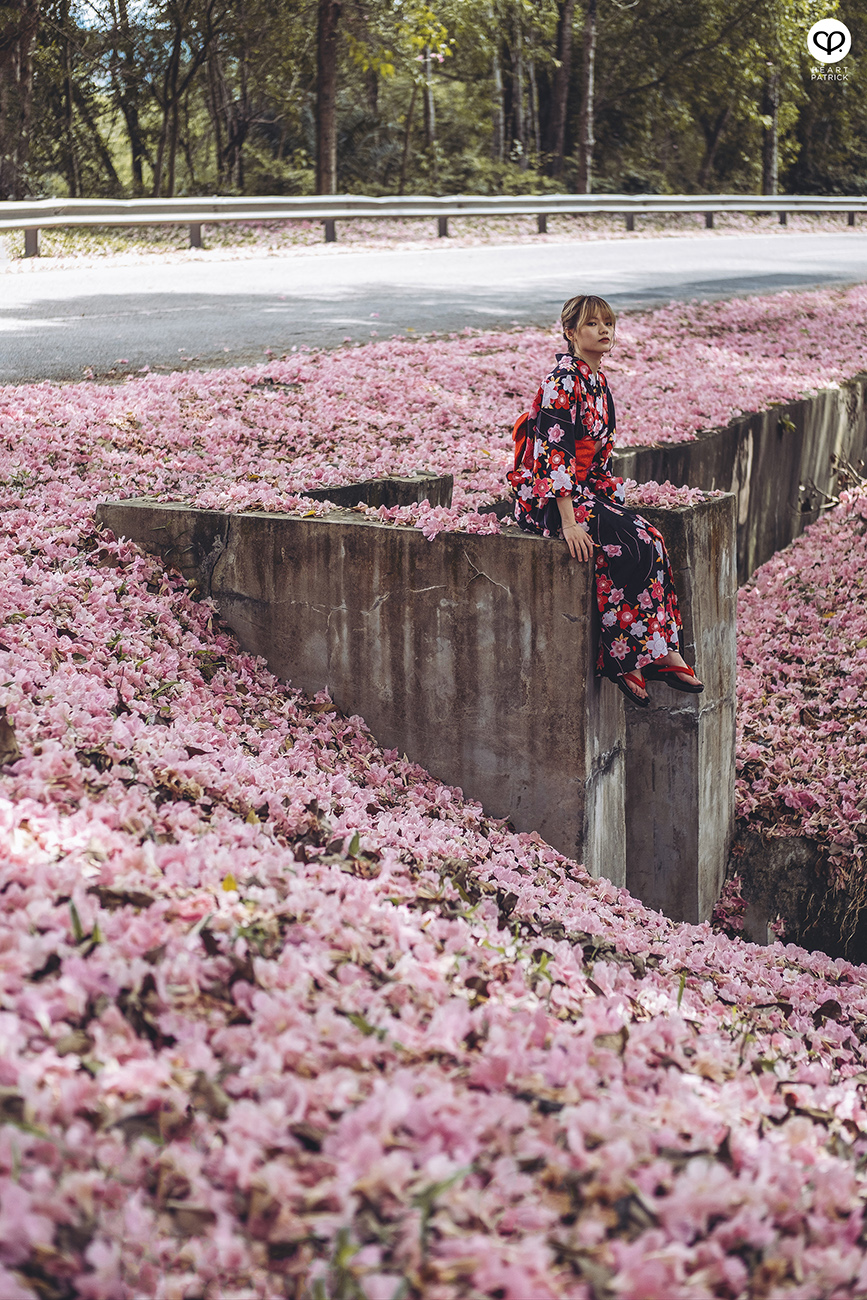 heartpatrick urban exploring portraits tecoma sakura spring malaysia kuala lumpur