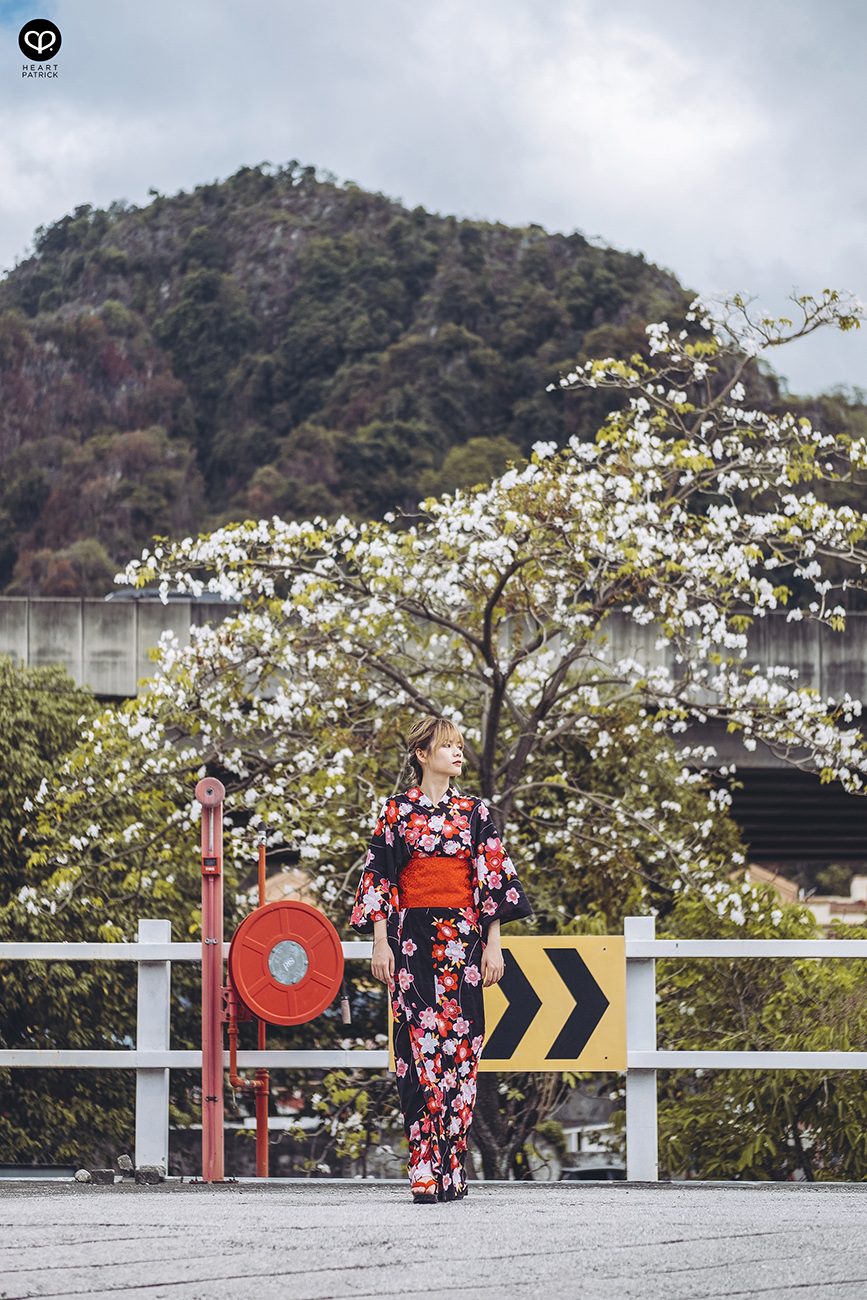 heartpatrick urban exploring portraits tecoma sakura spring malaysia kuala lumpur