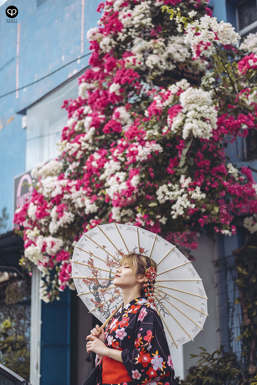heartpatrick urban exploring portraits tecoma sakura spring malaysia kuala lumpur