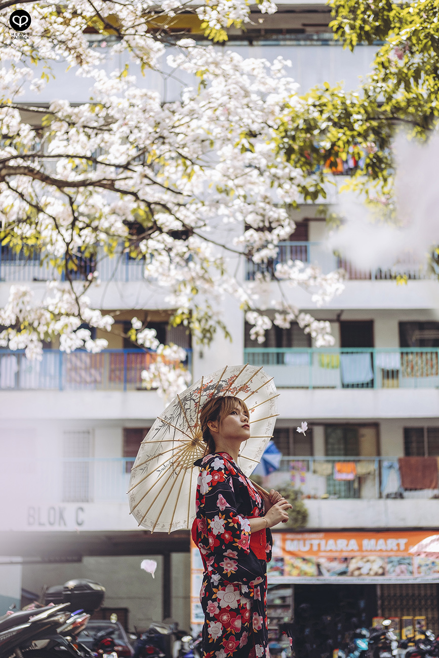 heartpatrick urban exploring portraits tecoma sakura spring malaysia kuala lumpur