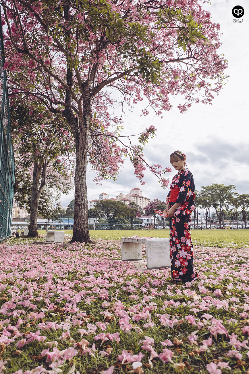 heartpatrick urban exploring portraits tecoma sakura spring malaysia kuala lumpur