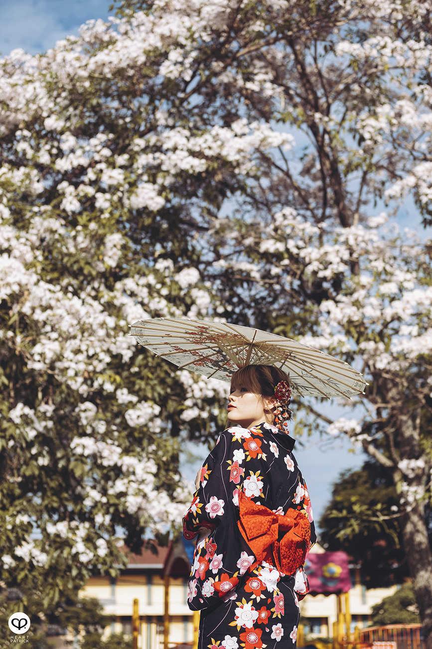 heartpatrick urban exploring portraits tecoma sakura spring malaysia kuala lumpur