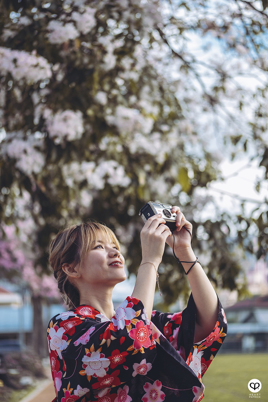 heartpatrick urban exploring portraits tecoma sakura spring malaysia kuala lumpur