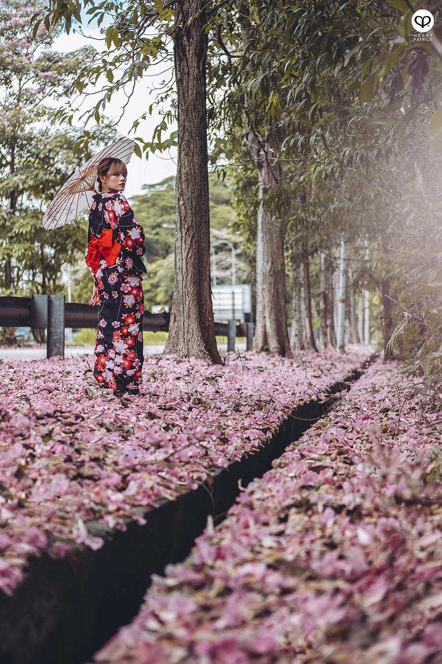 heartpatrick urban exploring portraits tecoma sakura spring malaysia kuala lumpur