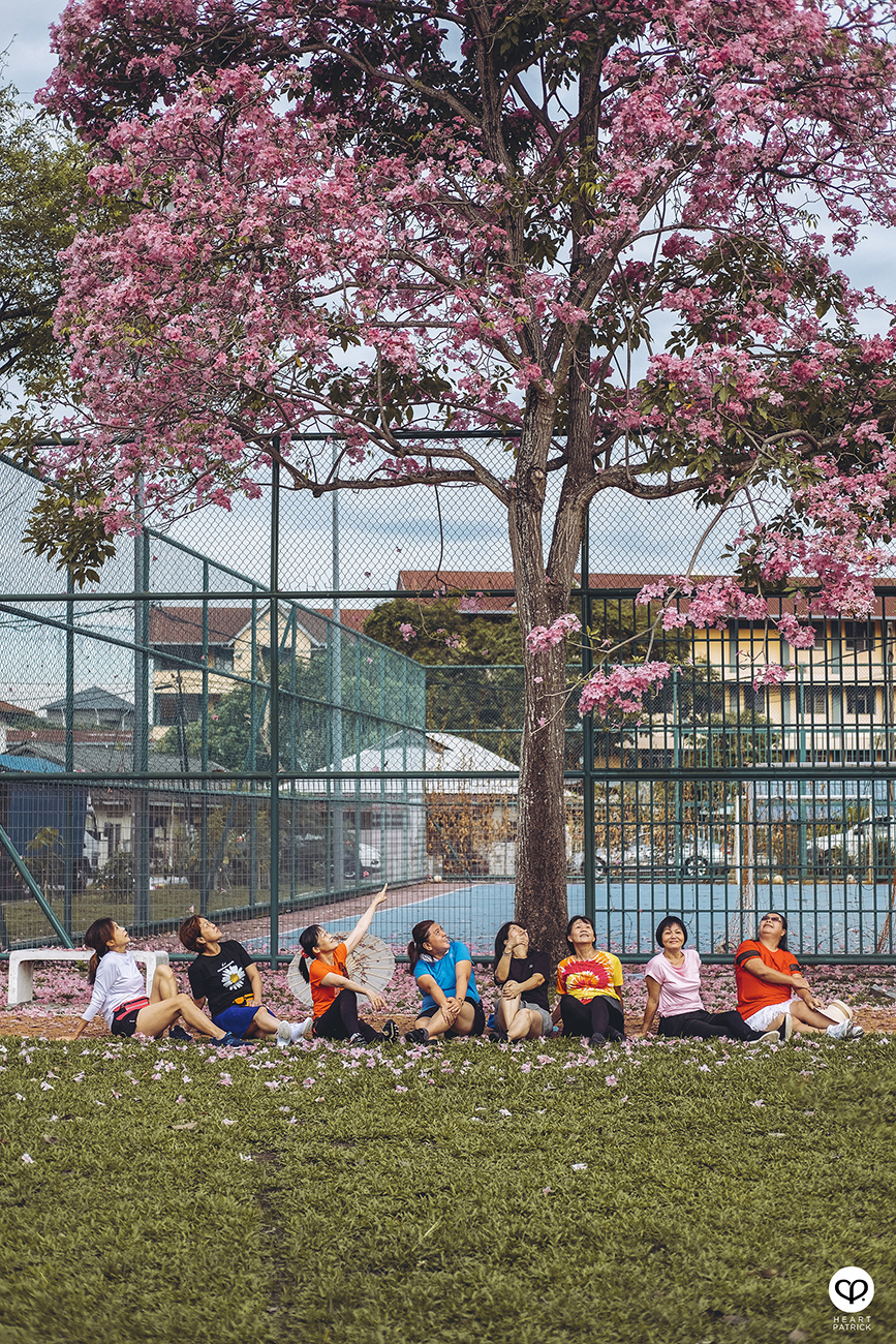 heartpatrick urban exploring portraits tecoma sakura spring malaysia kuala lumpur