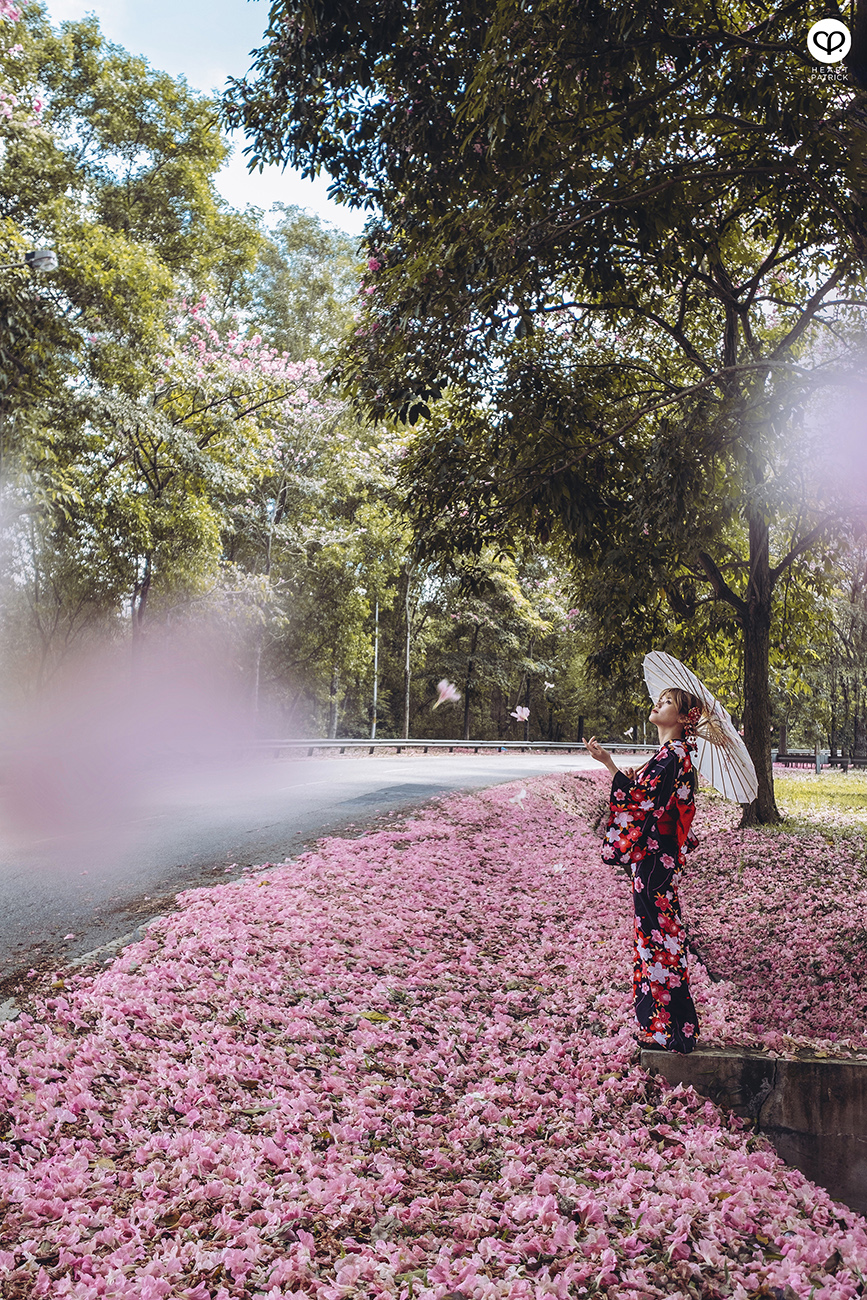 heartpatrick urban exploring portraits tecoma sakura spring malaysia kuala lumpur