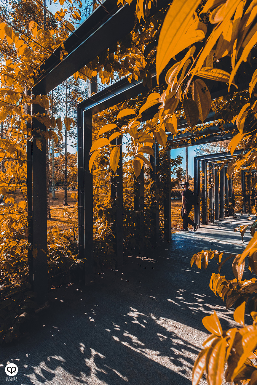 heartpatrick urban exploring street photography taman tasik titiwangsa park kuala lumpur