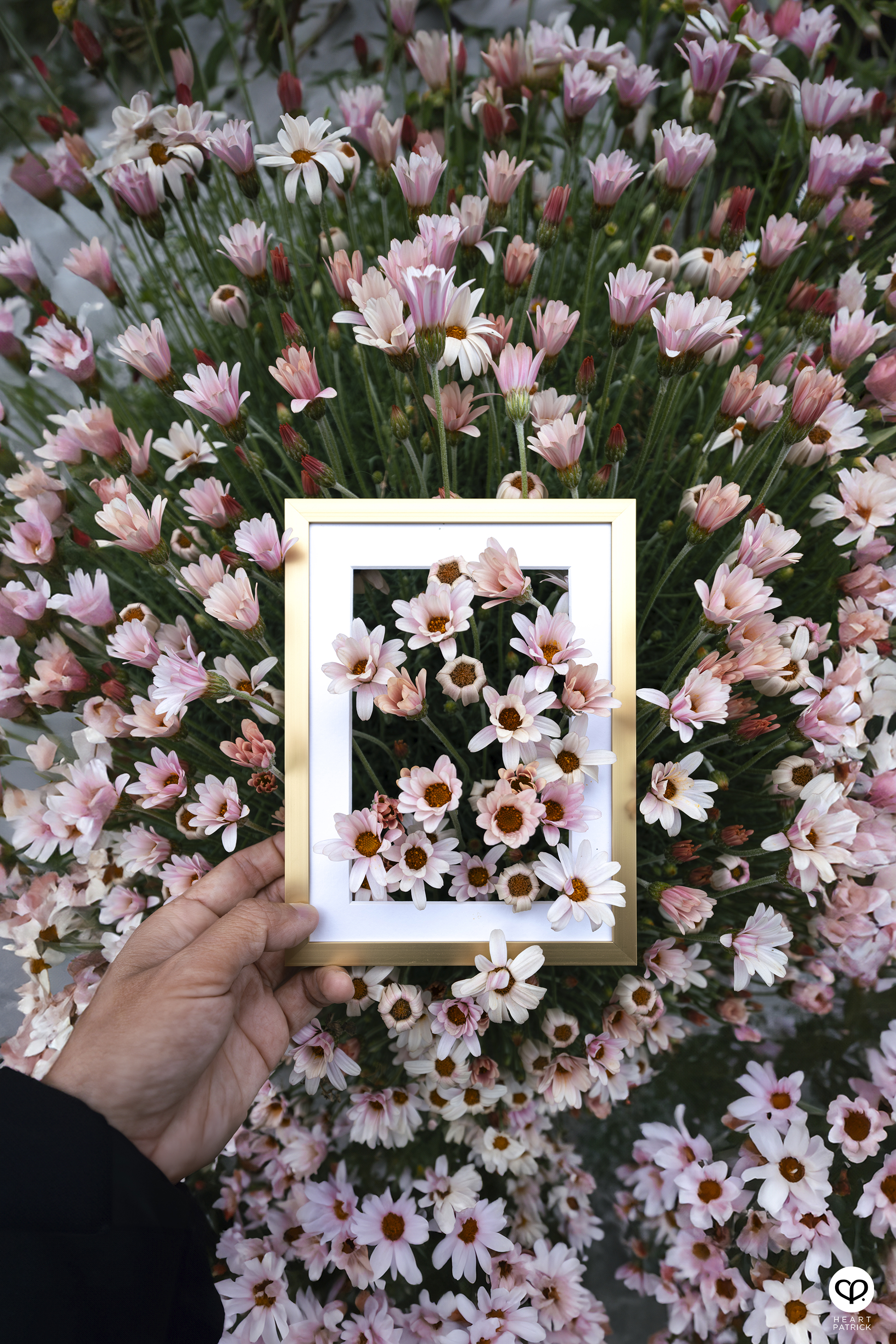 heartpatrick travel creative photography spring photo frame tokyo japan