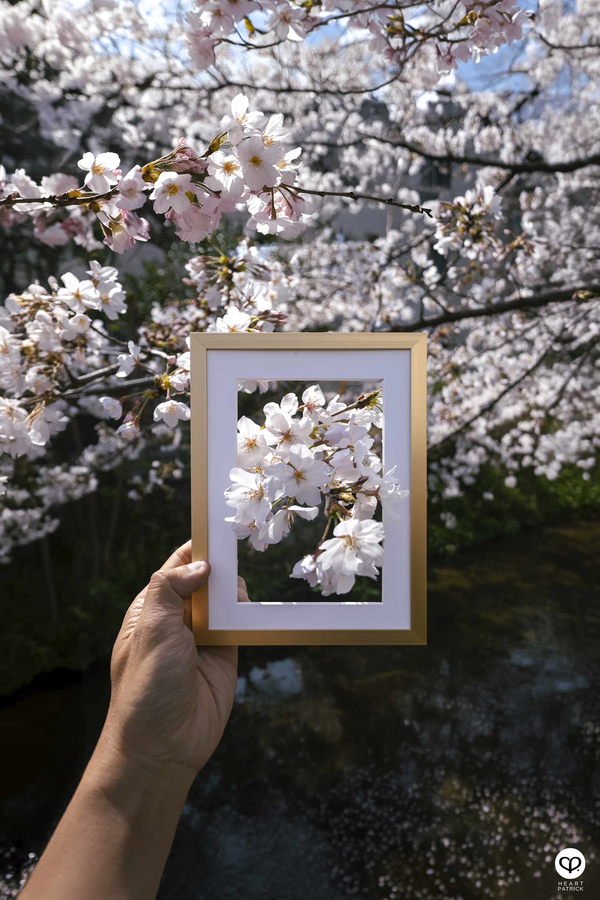 heartpatrick travel creative photography spring photo frame tokyo japan