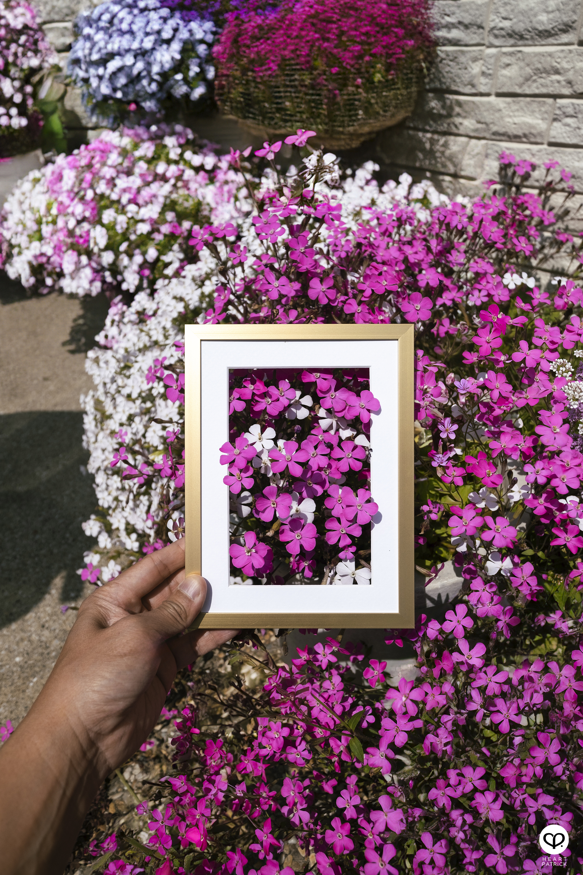 heartpatrick travel creative photography spring photo frame tokyo japan